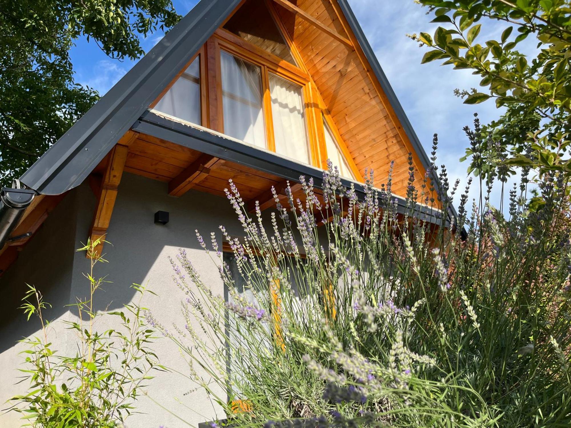 Petrovaradin Chalet Novi Sad Eksteriør billede